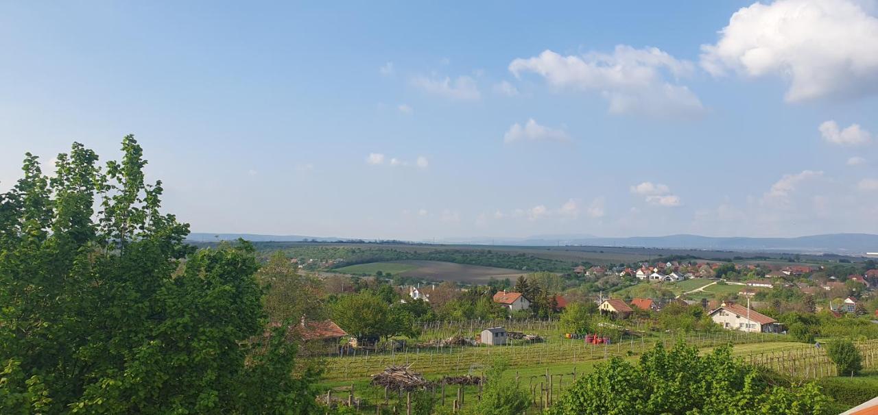 Buborek Apartman - Etyek Bagian luar foto